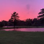 Finger Lakes Campground