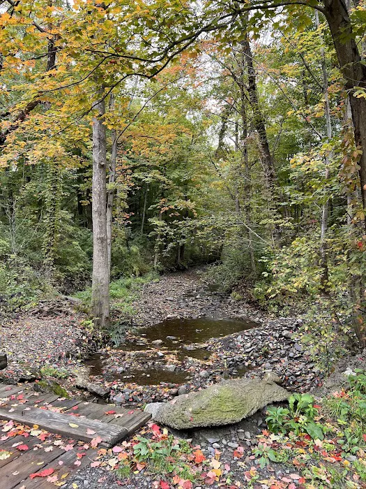 Spruce Row Campground Picture 7