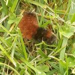 Little Creek Manufactured Home Community