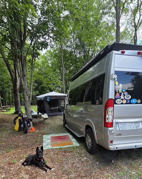 Greek Peak Campground at Hope Lake Picture 6