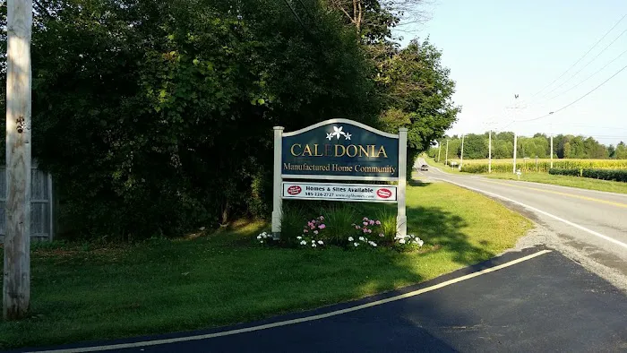Caledonia MHC Picture 5