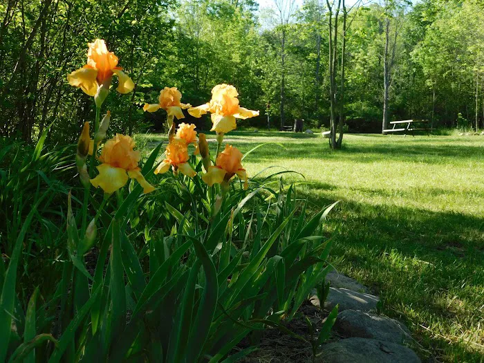 Cherry Hill Campground Picture 3