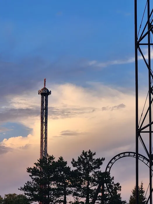 Six Flags Darien Lake Picture 10