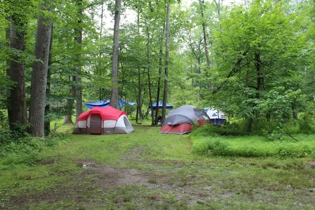 Mountainview Campground Picture 5