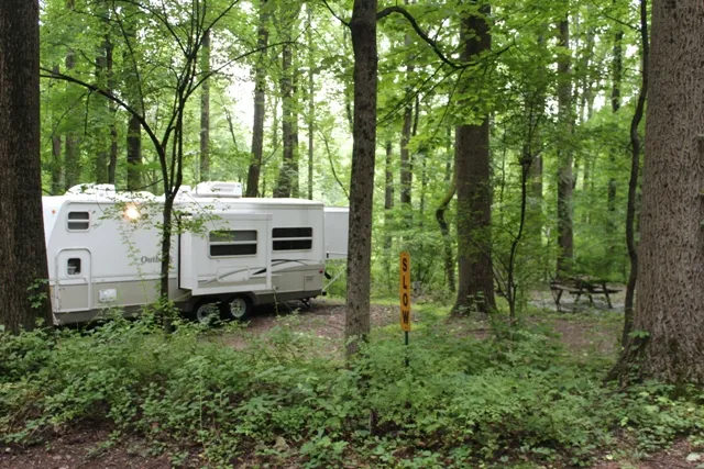 Mountainview Campground Picture 1