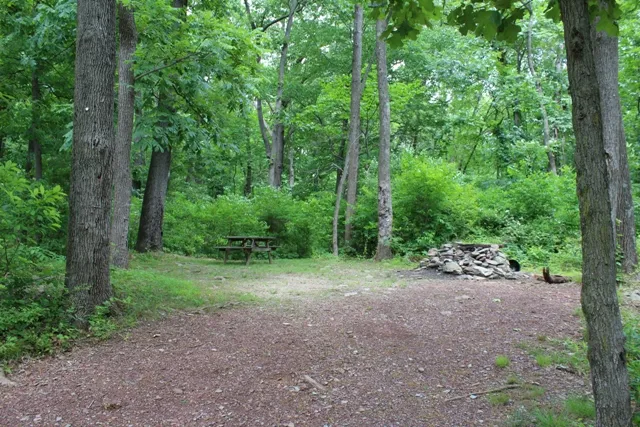 Mountainview Campground Picture 2