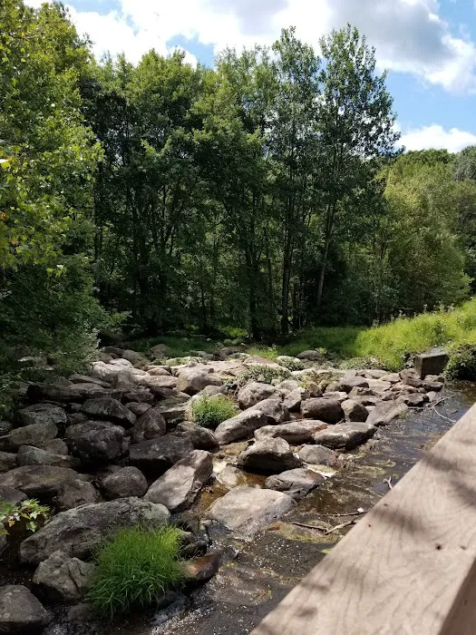 Camp Trexler Picture 6
