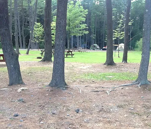 Evergreen Lake Picture 8