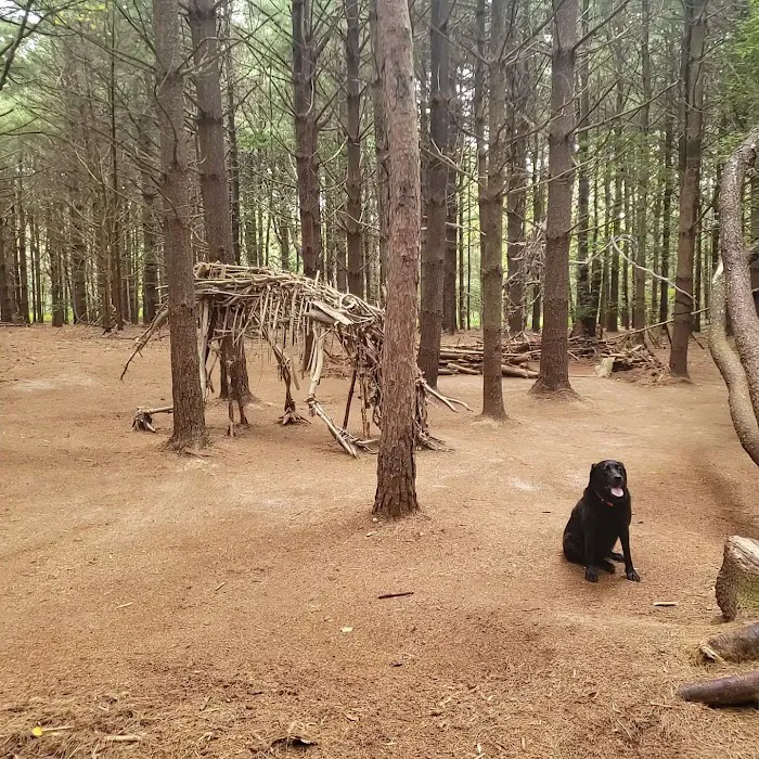 Allaire State Park Group Campsite Picture 7