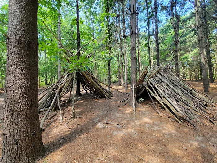 Allaire State Park Group Campsite Picture 4