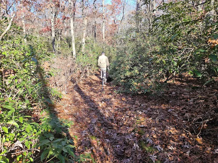 Allaire State Park Group Campsite Picture 6