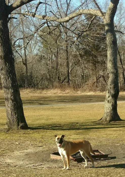 Allaire State Park Group Campsite Picture 9