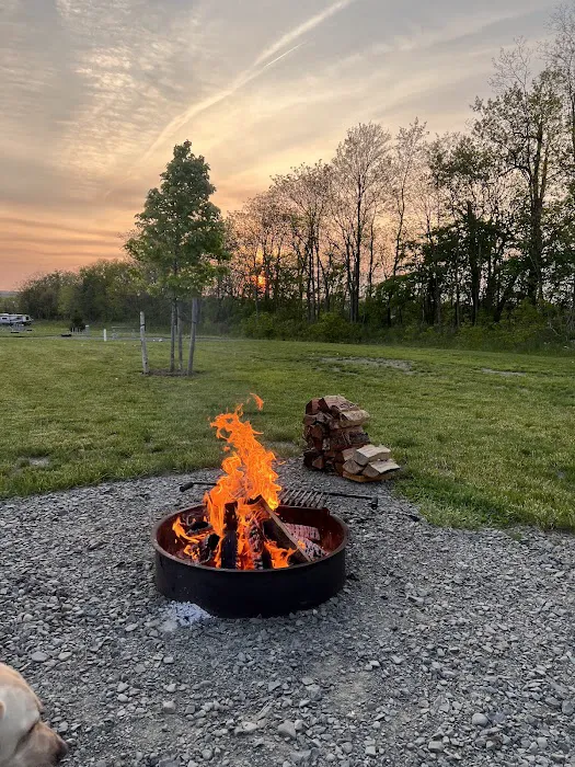 Finger Lakes RV Resort Picture 10