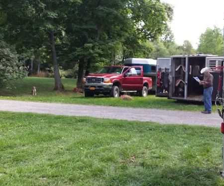 Backbone Horse Camp