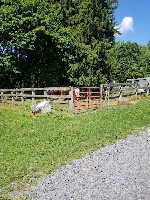 Backbone Horse Camp Picture 10