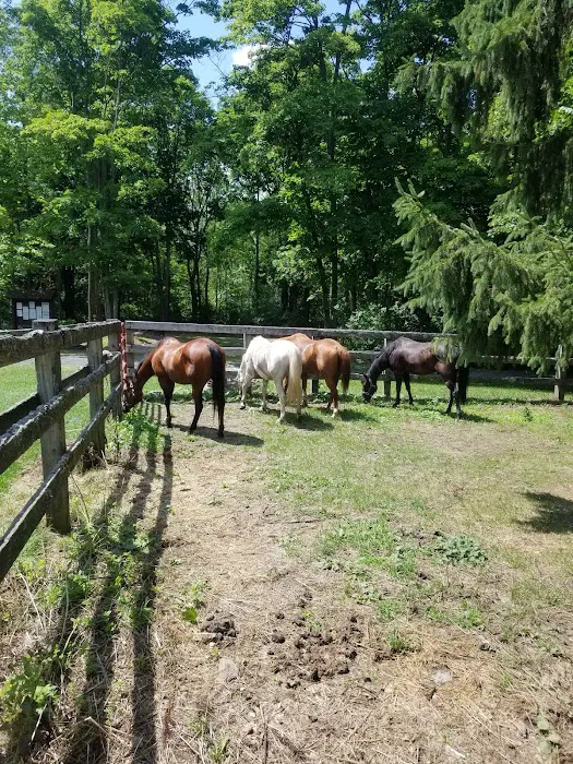 Backbone Horse Camp Picture 9