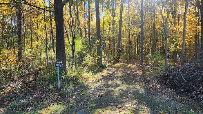 Lakeview Camp Sites Picture 7