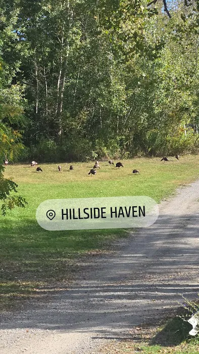 Hillside Haven Campground Picture 5