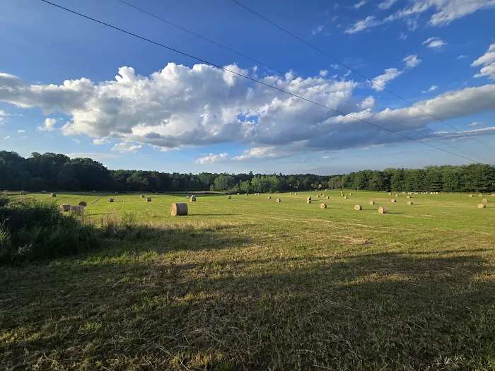 Hillside Haven Campground Picture 7