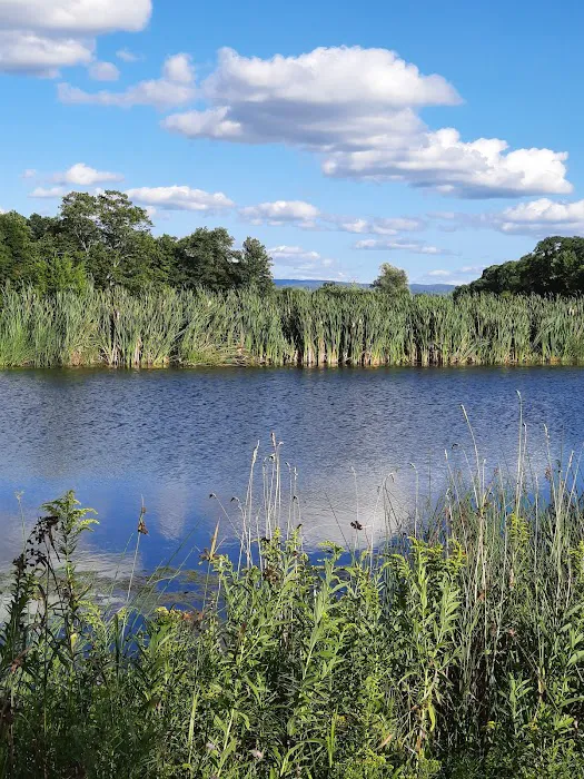 Potomac Group Campground Picture 4