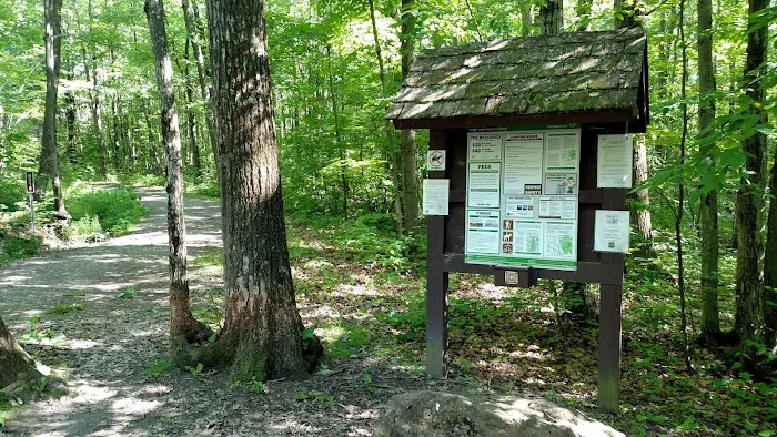 Potomac Group Campground Picture 2
