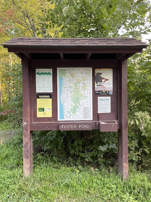 Foster pond camping area Picture 1