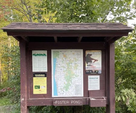 Foster pond camping area