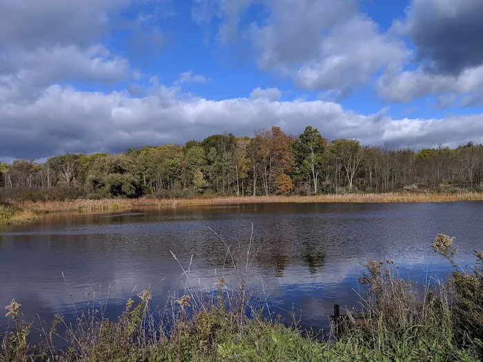 Foster pond camping area Picture 10