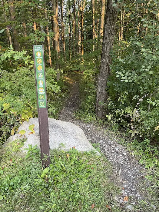 Foster pond camping area Picture 7
