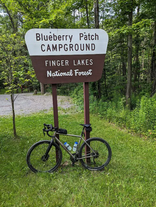 Blueberry Patch Campground Picture 5
