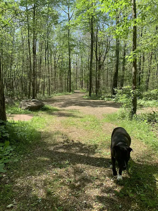 Blueberry Patch Campground Picture 10