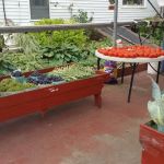 Tajmahal Mobile Home Park