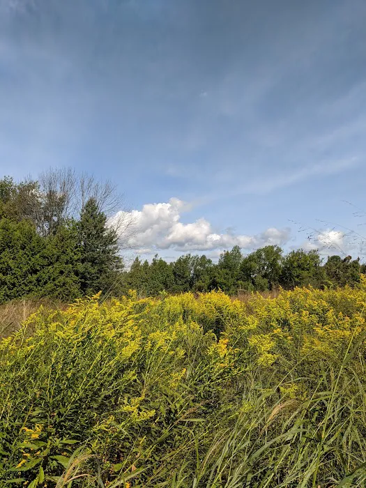Twin Cedars of Avon Picture 6
