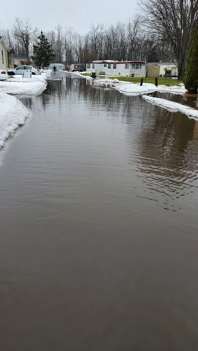 Suburban Rapids Mobile Home Picture 2