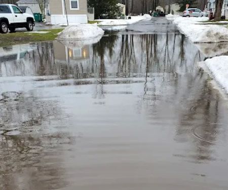 Suburban Rapids Mobile Home