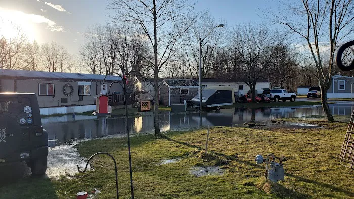 Suburban Rapids Mobile Home Picture 4