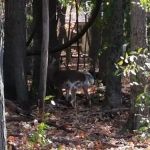 Salvation Army Youth Camp