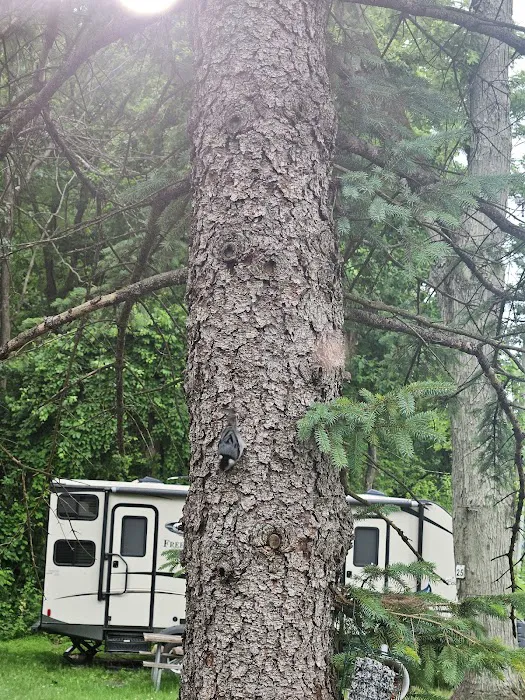 Jugtown Mountain Campsites Picture 3