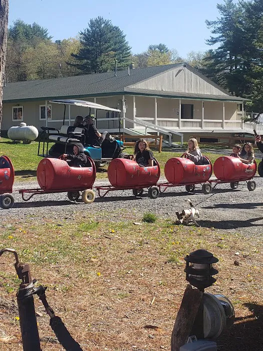 Silver Valley Campsite Picture 5