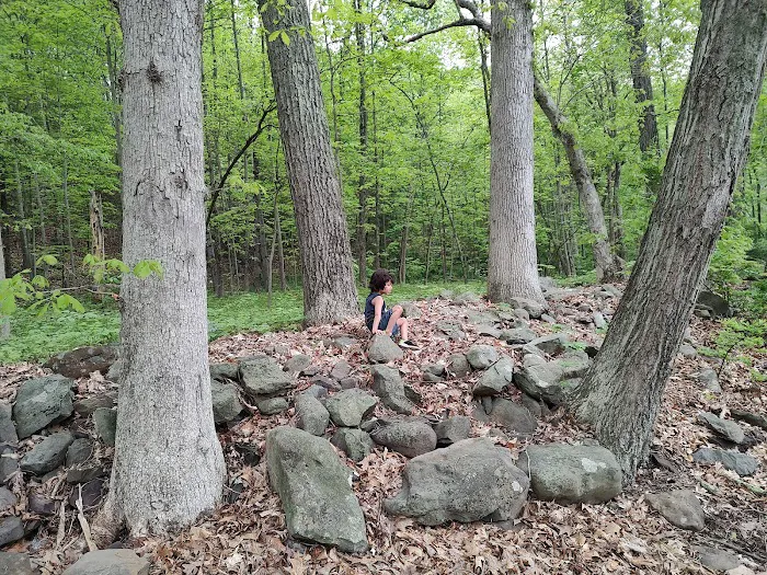 Silver Valley Campsite Picture 6