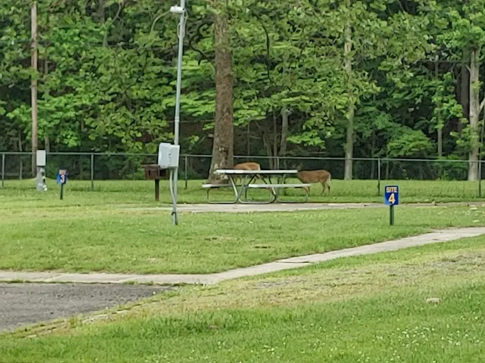 Navy Earle MWR RV Park Picture 5