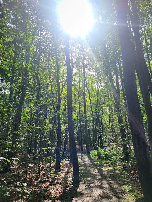 Tobyhanna Campground Picture 4