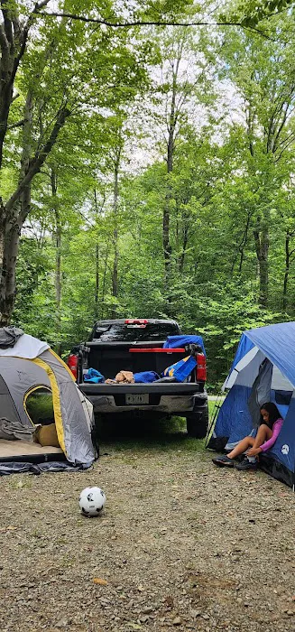 Tobyhanna Campground Picture 6
