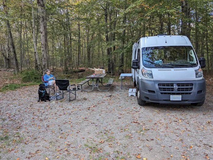 Tobyhanna Campground Picture 3