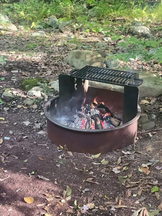 Tobyhanna Campground Picture 2