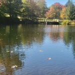 Tobyhanna Campground