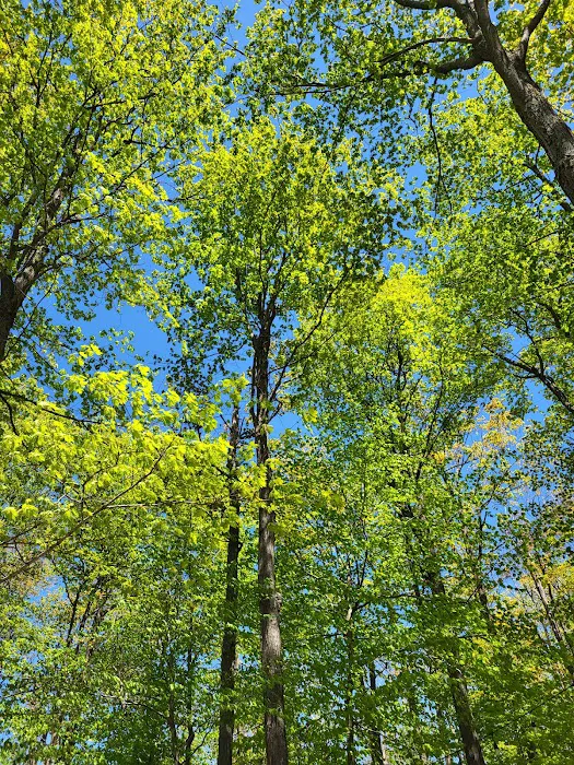 Breezewood Acres Community Association Picture 4