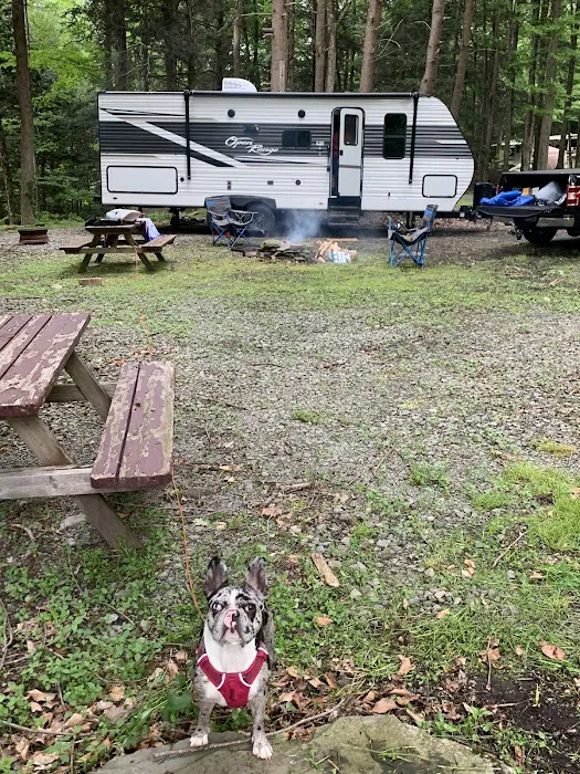 Shady Rest Campground Picture 1