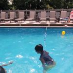 Shore Forest Campground