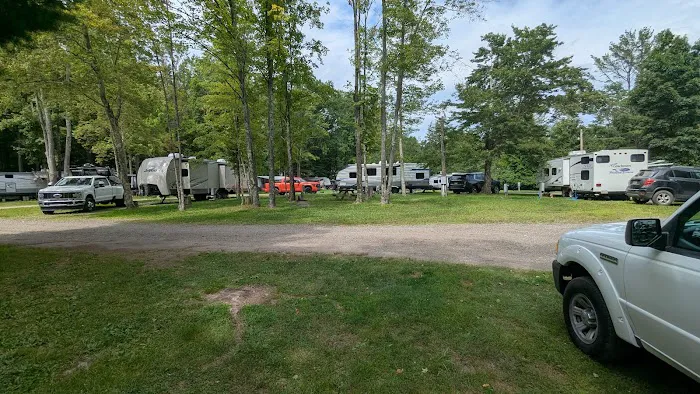 Shore Forest Campground Picture 4